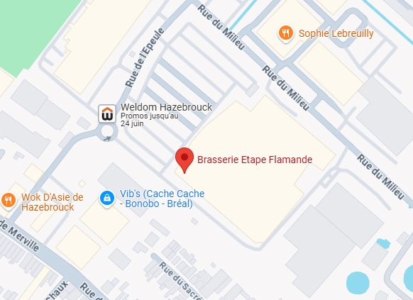 Plan de Hazebrouck : Brasserie Etape Flamande (pin rouge), Weldom (promos jusqu'au 24 juin), Wok D'Asie, Vib's et Sophie Lebreuilly.